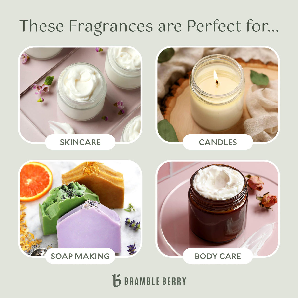 Bramble Berry Cashmere Fragrance Oil (2 Fl oz) | Great for Making Homemade Soap, Candles, Lotion, Bath Bombs, Skin & Body Care | Vegan, Phthalate & Paraben Free Bramble Berry