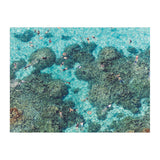 Galison Gray Malin 2-Sided Jigsaw Puzzle, The Beach, 500 Pieces - 24” x 18”, Double-Sided Puzzle with Vibrant Artwork, Perfect for Family Fun, Multicolor (0735357242) Galison