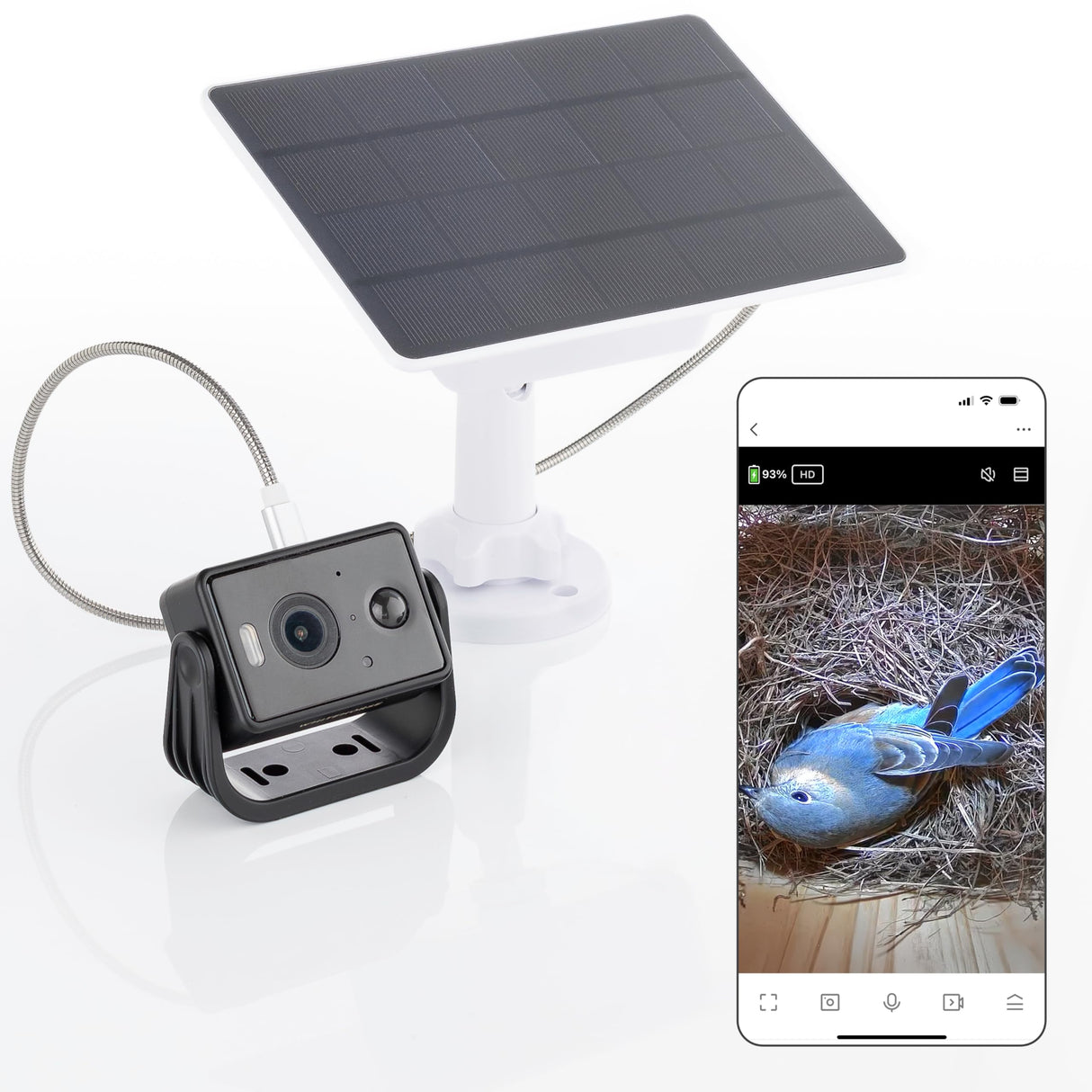 WHITEHORSE Bird House Camera - Wireless and Solar Powered - Take Photos and Videos from Your Phone (Free App) - Get Notified When a Bird is Detected - 32GB Memory Card Included WHITEHORSE