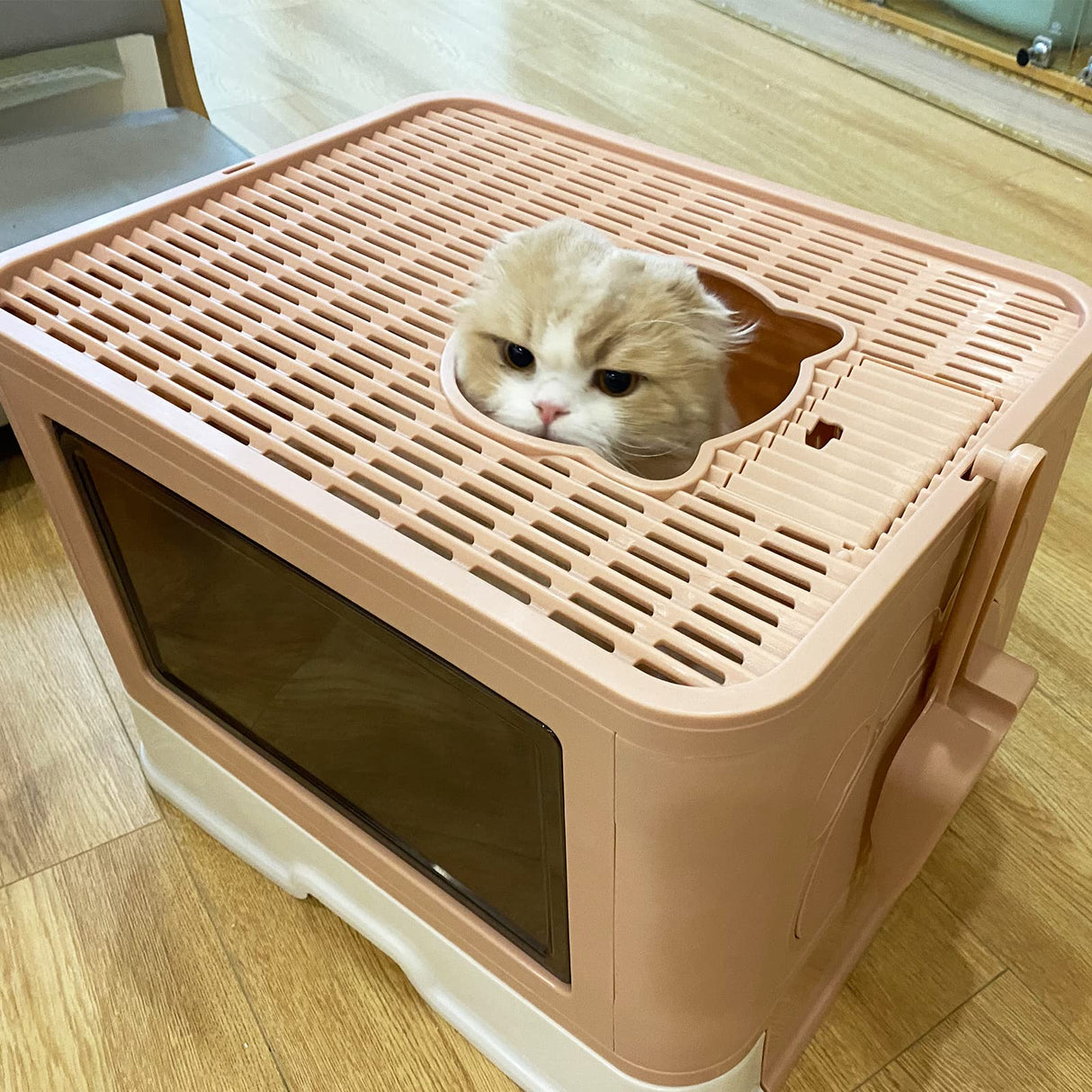 Kattypet Foldable Enclosed Top Entry Cat Toilet - Extra Large Covered Cat Litter Box with Litter Brush and Scoop kattypet