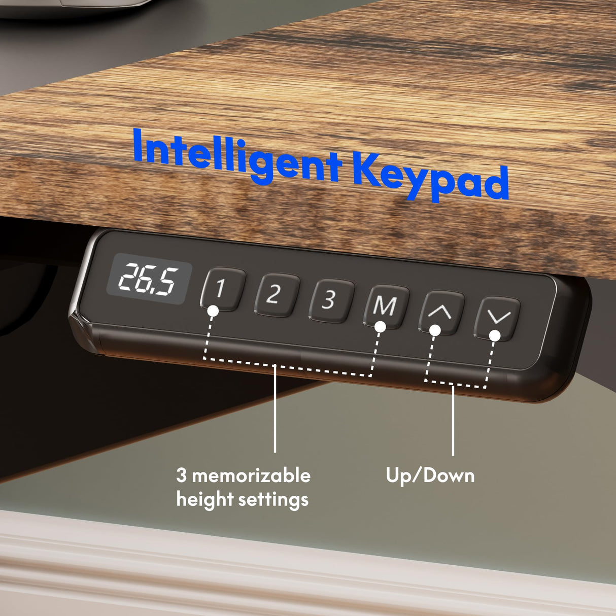 FLEXISPOT 63x32 in 4-Leg Standing Desk with Storage Electric Adjustable Height with 3 Drawers & Shelving Home Office Workstation (Black + Special Walnut Top) FLEXISPOT