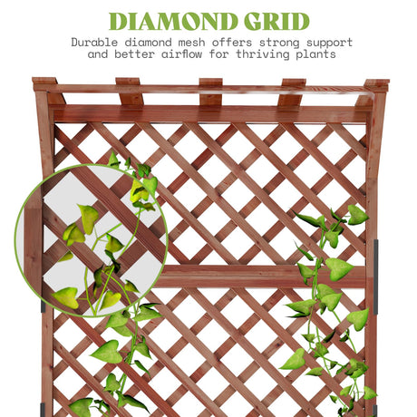 Amerlife 35.4x17.7x72 Inch Raised Garden Bed with Trellis, Wooden Planter Box for Vegetables and Climbing Plants with Drainage Holes Amerlife