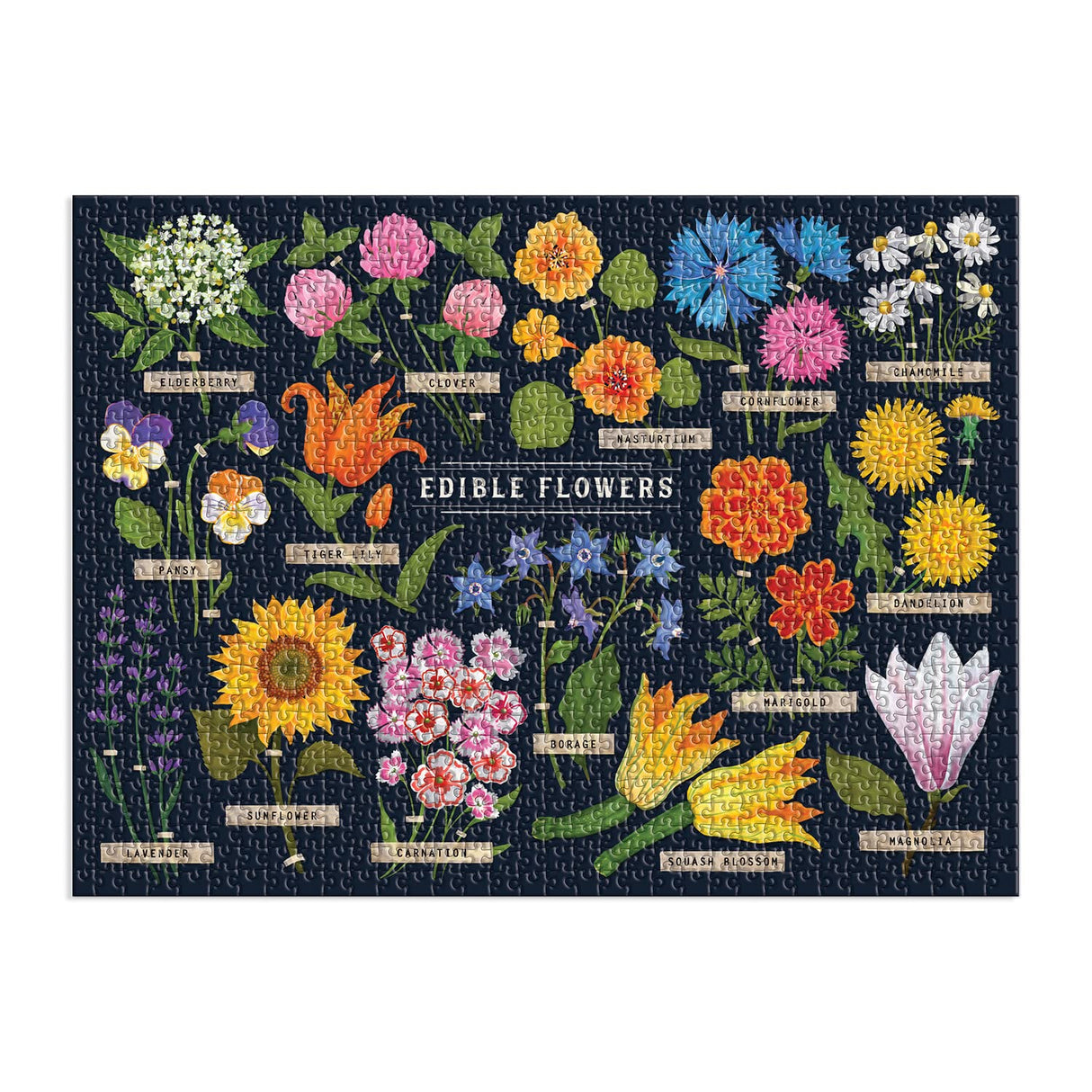 Galison Edible Flowers Puzzle, 1000 Pieces, 27” x 20” – Difficult Jigsaw Puzzle with Colorful Floral Artwork and Educational Design – Thick, Sturdy Pieces, Challenging Family Activity Galison