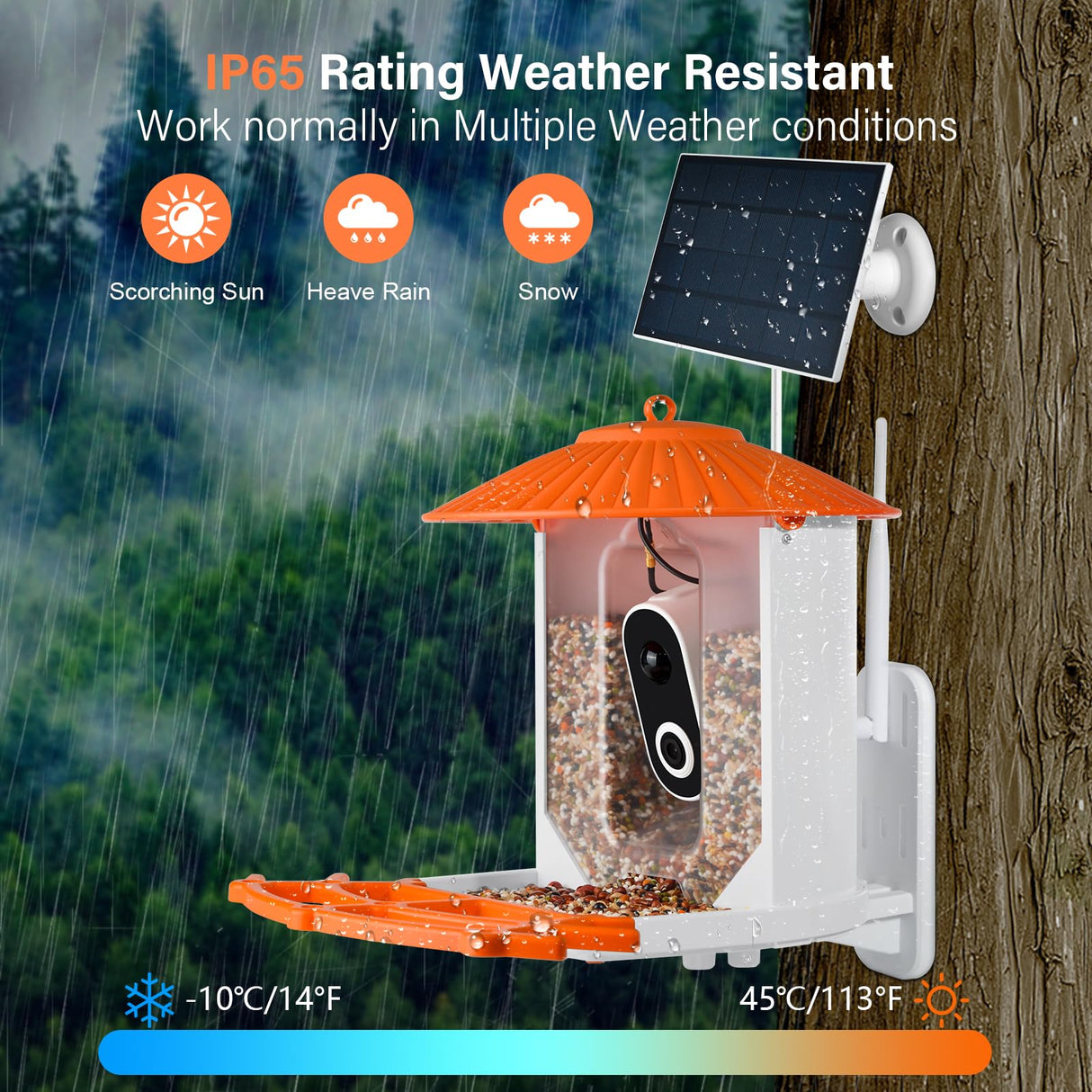 Smart Bird Feeder with Camera, Wireless Outdoor Solar Bird Feeder, Solar-Powered WiFi 1080P Live Camera, Auto Capture & Motion Detection ZENFLIX