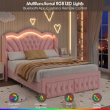 Keyluv Queen Bed Frame Arc-Shaped LED Lights and 47.2" Height Wingback Bed, Button Tufted Headboard and Footboard with Storage Drawer, Velvet Upholstered Platform Bed Frame No Box Spring Needed, Pink Keyluv