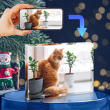 Qunclay 12 Pcs Sublimation Blanks Crystal Sublimation Canvas Blanks Decorative Heat Transfer Photo Frame Crystal Picture Frame for DIY Custom Tabletop Supplies, Rectangle (3.9 x 5.9 x 0.8 Inches) Qunclay