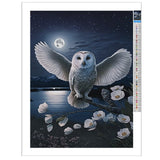 Owl Diamond Painting Kit for Adults - Night 5D Diamond Art Kit, Full Diamond Painting, Gemstone Arts and Crafts for Beginners Kids Home Wall Decor 8x12 inches Champi