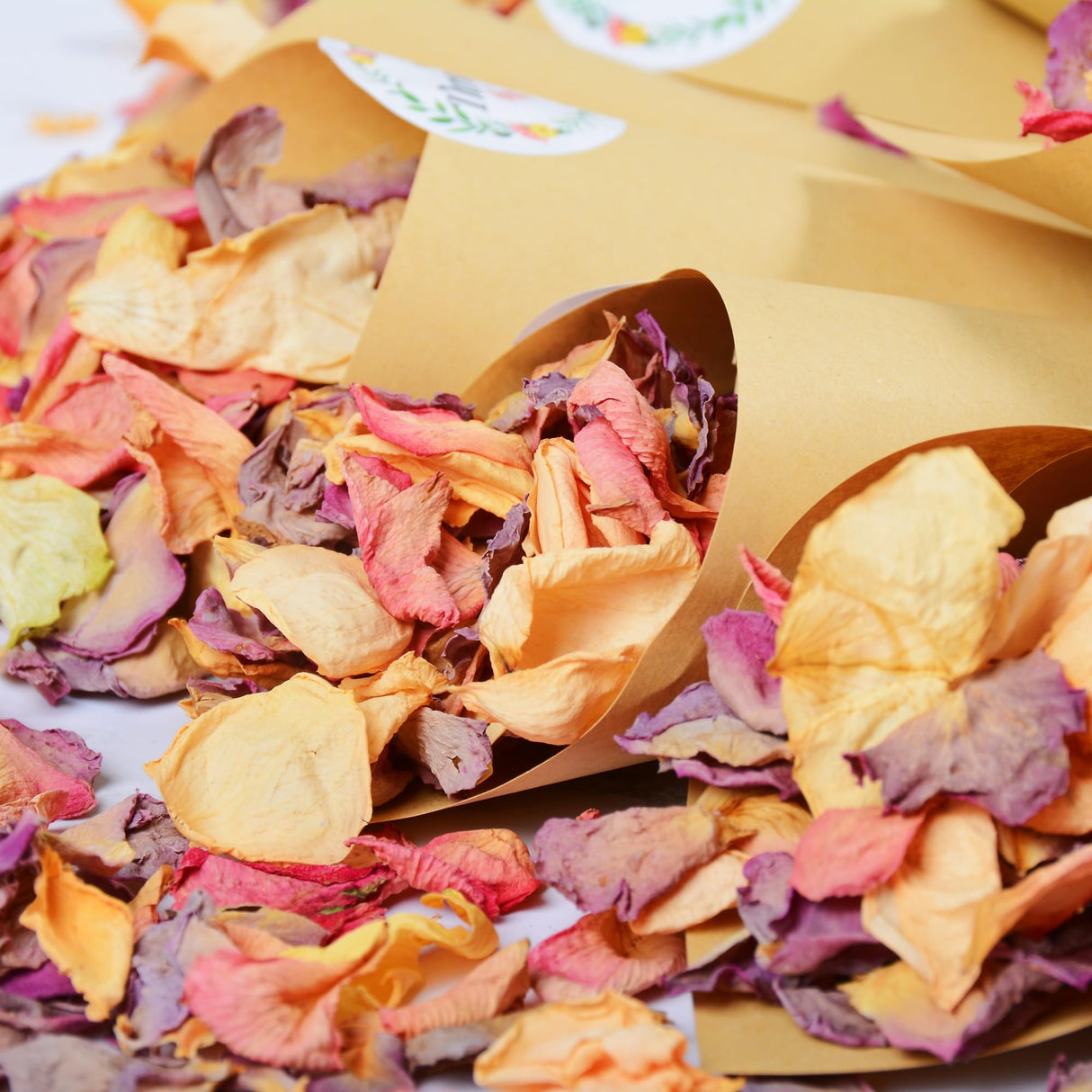 20+ Cups Real Rose Petals Biodegradable Wedding Flower Confetti, 2 QT Mixed Yellow Purple Pink Dried Roses Petals for Wedding Proposal Bath Valentine's Day Party Flower Girl Oning