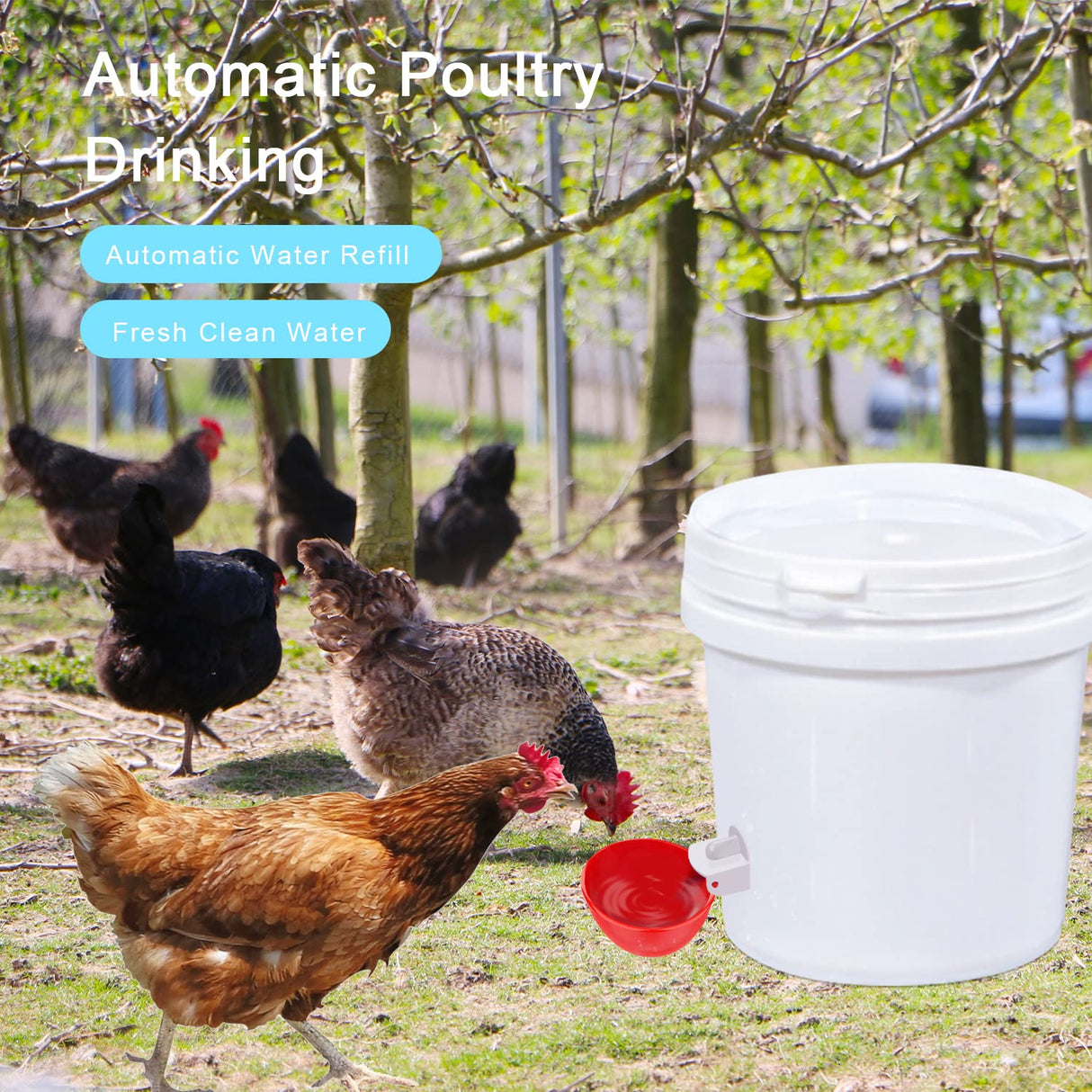 Darcvds Professional Chicken Waterer Cups, 8 Packs Large Chicken Water Feeder, Tee Fittings Poultry Waterer Suitable for Duck, Chicks, Goose, Turkey, Bunny and Bird with Mounting Hole Opener Darcvds