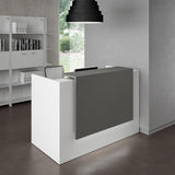 UGOS ICN 53" Modern Reception Desk, Multifunctional Modern Transaction Counter Top, Laminate Desktop, Standing Front Table for Office, Home, School, Salon, Spa - White & Anthracite Gray UGOS