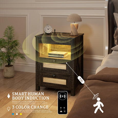 ACTKISS Night Stand with Gun Drawer, Bedside Table with Charging Station & LED Light, Gun Nightstand for Bedroom Living Room, Farmhouse End Table, Rustic ACTKISS