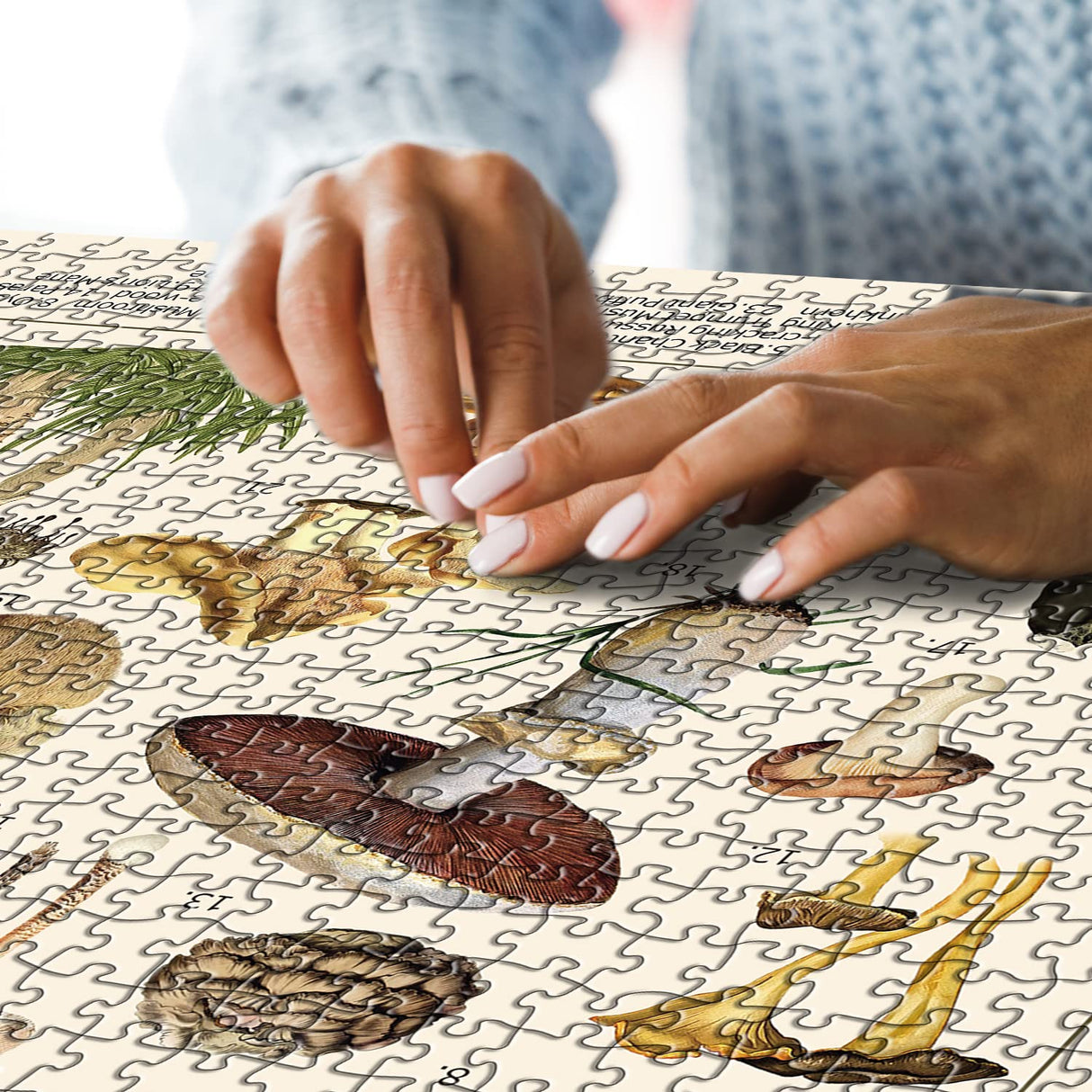 Vintage Mushroom Puzzle 1000 Pieces for Adult, Vintage Fungi Jigsaw Puzzle of 25 Edible Mushrooms, Champignons Plant Puzzle for Mycophile BBOLDIN