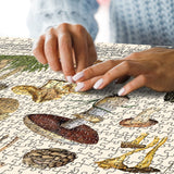 Vintage Mushroom Puzzle 1000 Pieces for Adult, Vintage Fungi Jigsaw Puzzle of 25 Edible Mushrooms, Champignons Plant Puzzle for Mycophile BBOLDIN