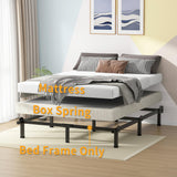 Superay Metal Bed Frame, 9-Leg Bed Base, 8 inches Support for Box Spring, Queen, Easy Assembly, Black Superay