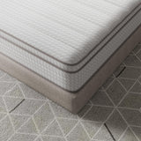 Novilla Queen Mattress, 14 Inch Queen Size Mattresses in a Box with Smarts™ Pocket Coil for Pressure Relief, Medium Plush Foam and Spring Hybrid Colchones with CertiPUR-US Certified Novilla