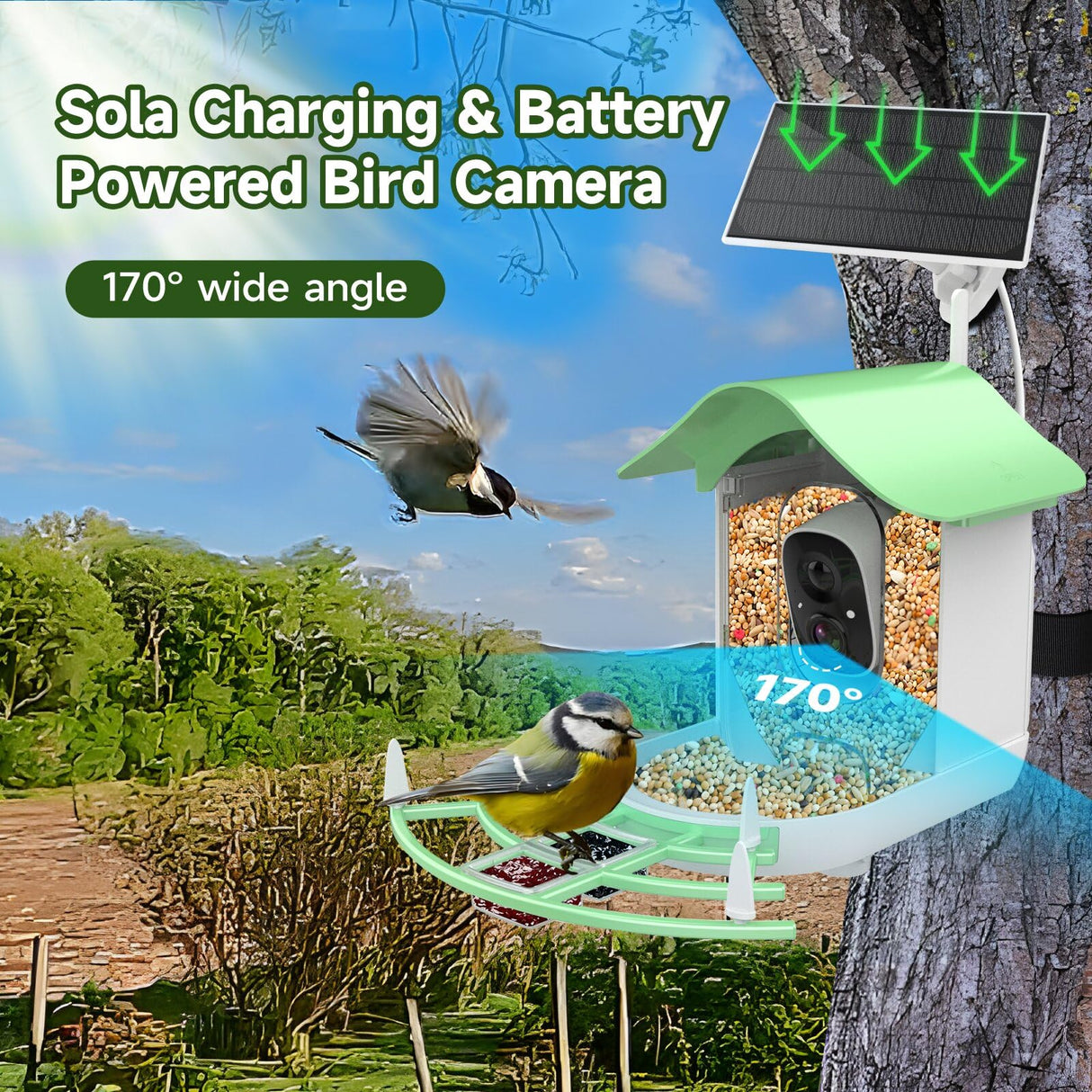 Smart Bird Feeder with Camera,AI Identify Bird Species,Auto Record 2K Birds Video in Backyard Garden,Live View,Solar Powered Charging,Ideal Gifts for Family and Bird Lovers (Green) Aprilmin