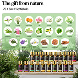 MAYJAM Tea Tree 20 Pcs Pure Essential Oil Gift Set, for Diffuser, Humidifiers, Skin Care, Massage, Fragrance Oil Scent for DIY Candle and Soap Making, Gift for Friend (5ML) MAYJAM