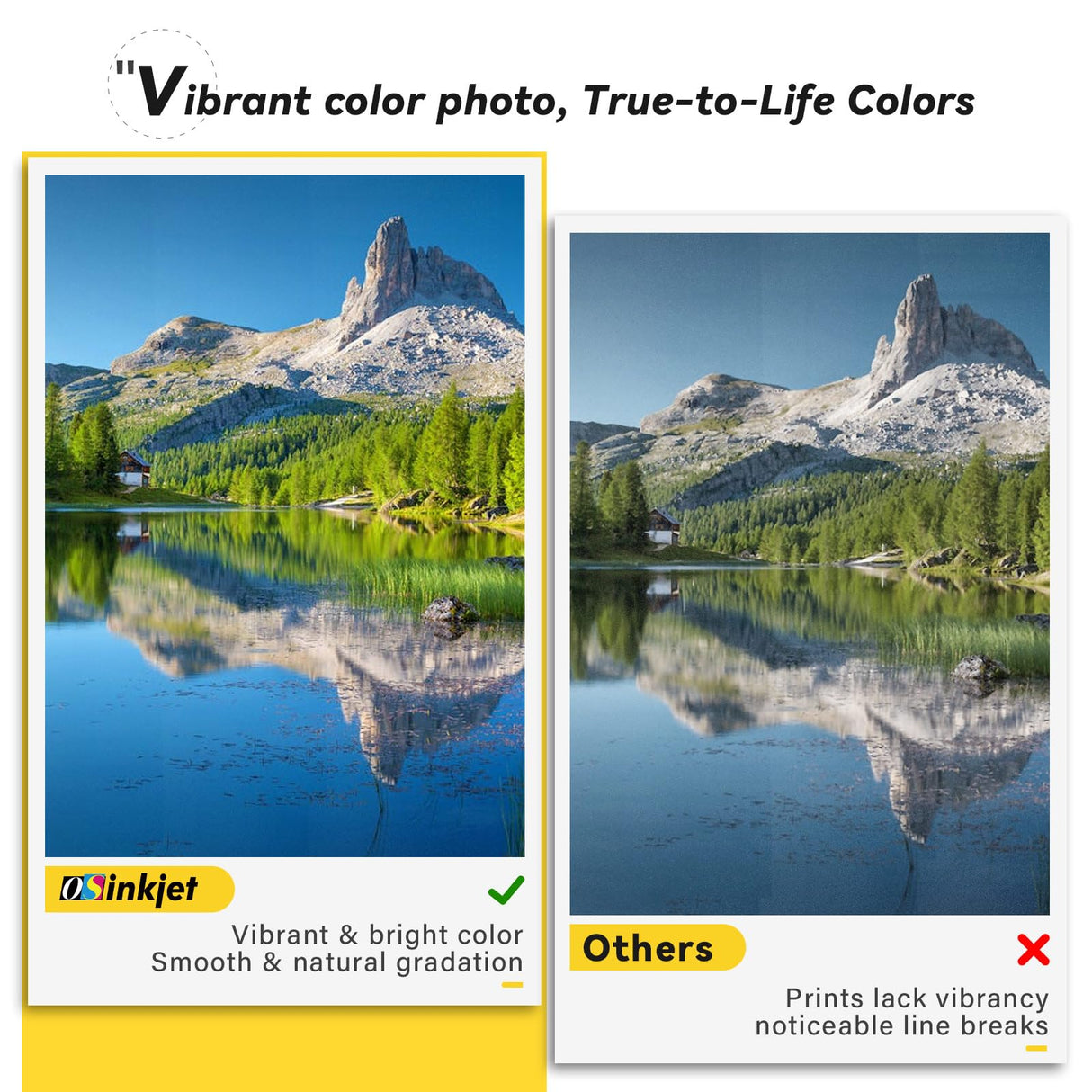 Osinkjet 31 Ink Bottle Set, 32XL Black Ink Bottle Compatible for HP Smart Tank 7602 6001 5101 5000 7300 7301 520 580, 31 32xl Ink Bottles Set for Smart Tank Plus 651 551 Ink Refill Osinkjet