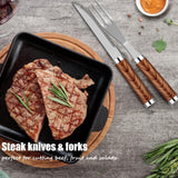 RINPIR 35pcs Deluxe Grilling Gifts Set for Birthday Christmas, Stainless Steel BBQ Accessories Kit for Men Dad, Professional Grill Tools Utensils with Scissors, Meat Claws in Aluminum Case Brown RINPIR