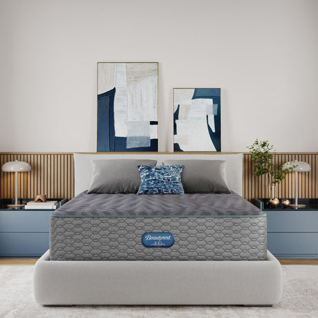Beautyrest Days End Plush 14" Mattress - Queen - Cooling Tech, Supportive Durable Pocketed Coils, Pressure Relief, Motion Separation; 100 Night Sleep Trial and 10 Year Warranty Beautyrest
