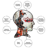 AQUARIUS DC Comics Puzzle Harley Quinn & The Joker (500 Piece Jigsaw Puzzle) - Officially Licensed DC Comics Merchandise & Collectibles - Glare Free - Precision Fit - 14x19in AQUARIUS