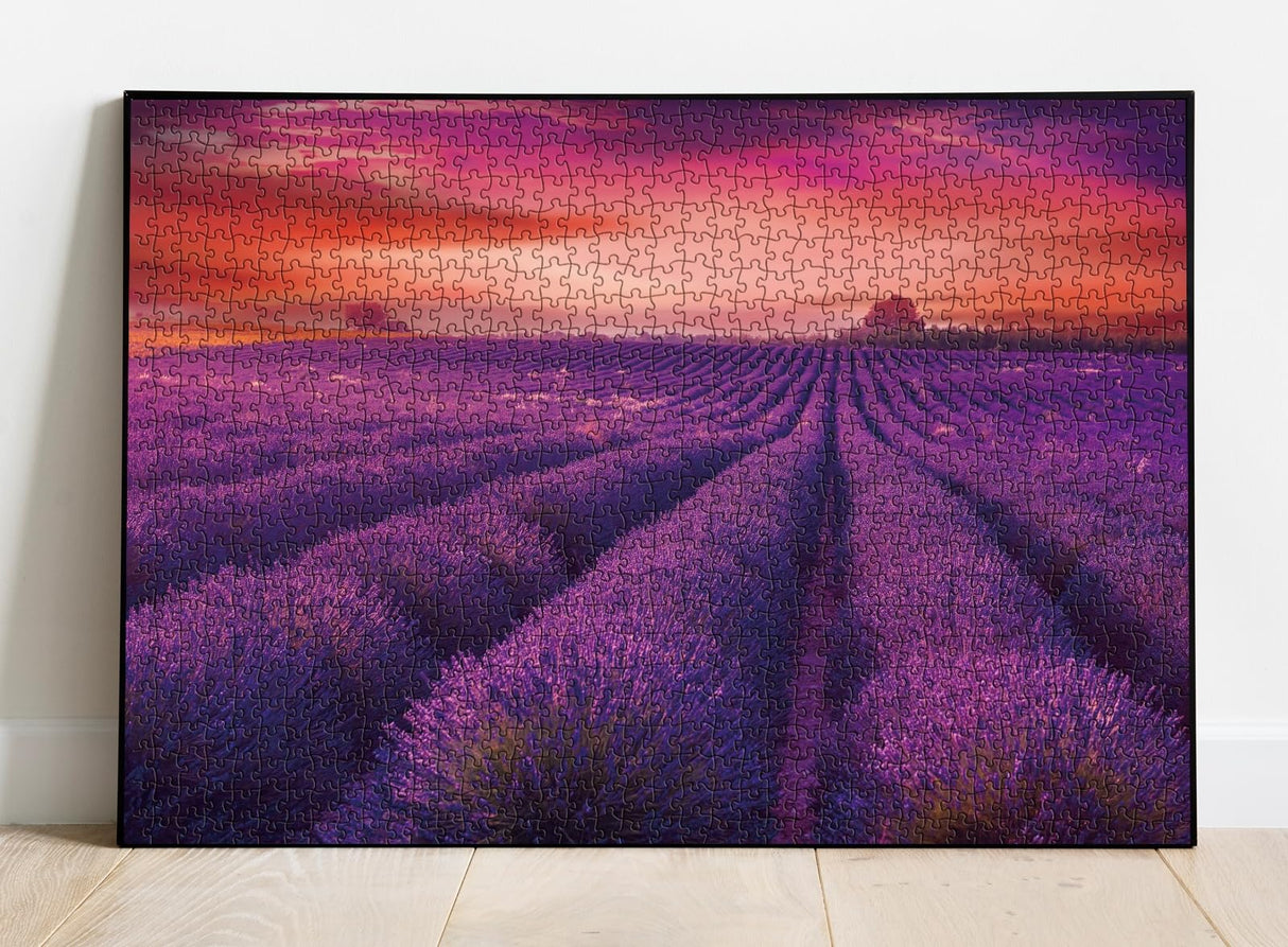 Purple Lavender Field Jigsaw Puzzle 1000 Piece, Sunset Landscape Scenery Nature Puzzles for Adults, Challenging Difficult Hard Impossible Puzzles BBOLDIN