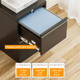 INTERGREAT 2 Drawers File Cabinet with Lock, 18" D Vertical Filing Cabinet for Home Office, Metal Black File Cabinet for Hanging Letter/F4/A4/Legal Folders, Easy Assemble INTERGREAT