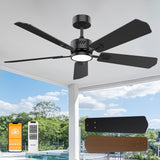 DAMINY 52 inch Ceiling Fan with Light,6CCT,5 Blade Ceiling Fan with Light,Low Profile Ceiling Fan with Light and Remote Control,Downrods,Black Ceiling Fan for Living Room,Indoor/Outdoor Use DAMINY