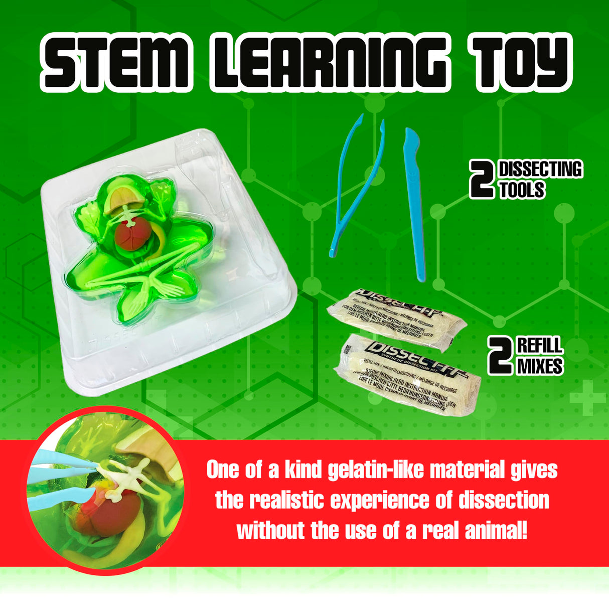 Dissect-It Simulated Synthetic Lab Dissection Toy, STEM Projects for Kids Ages 6 and Up, Animal Science, Biology, Anatomy Home Learning Kit, Great for Young Scientists! – Frog Dissect It