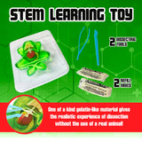 Dissect-It Simulated Synthetic Lab Dissection Toy, STEM Projects for Kids Ages 6 and Up, Animal Science, Biology, Anatomy Home Learning Kit, Great for Young Scientists! – Frog Dissect It