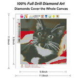 RICUVED DIY 5D Diamond Art Kits, Black Cat Diamond Art Full Diamond Art Kits for Adults Cat Crystal Rhinestone Embroidery Cross Stitch Arts Craft Supply Canvas Wall Decor 12x12 inches RICUVED