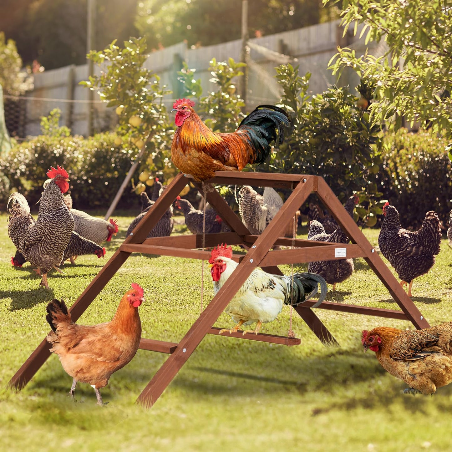 PETSFIT Chicken Roosting Bars for Coop Accessories, Chicken Perches with Swing are Perfect for 8-10 Chickens, Wooden Chicken Ladder for Pet's Healthy & Happy, Easy to Assemble&Clean - WoodArtSupply