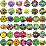 40 Bags Natural Dried Flowers Kit, Natural Dried Herbs with 2 Mesh Drawstring Bag for Soap,Candle,Resin Jewelry Making,Bath,Nail - Rose Petals,Rosebuds,Lilium,Jasmine,Don't Forget Me and More SACATR