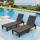 Greesum Outdoor Chaise Lounge Chairs Set of 2 with 5-Position Adjustable Backrest, Waterproof PP Sun Loungers for Garden Pool Beach Patio Deck Sunbathing, Brown Greesum