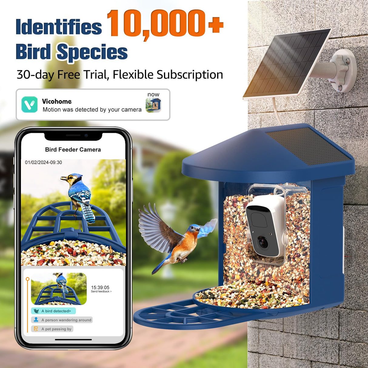 PeckCam® Bird Feeder with Camera, 2K HD AI Identify Birds Species, Bird Feeder with Camera Solar Powered, Auto Record Birds Video, Instant Notifications, Ideal Gifts for Family and Bird Lovers PeckCam