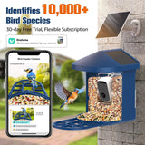 PeckCam® Bird Feeder with Camera, 2K HD AI Identify Birds Species, Bird Feeder with Camera Solar Powered, Auto Record Birds Video, Instant Notifications, Ideal Gifts for Family and Bird Lovers PeckCam