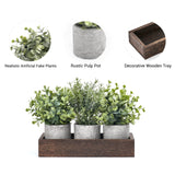 Dahey 3 Pack Mini Potted Artificial Eucalyptus Fake Plants with Wood Tray Centerpiece Table Decorations, Farmhouse Pulp Flower Pots Greenery Home Decor for Coffee Table Dining Room Office Kitchen Dahey