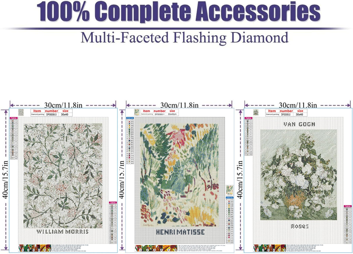 VeGuude Diamond Painting Kits for Adults - 3 Pack Artwork DIY 5D Diamond Art Kits Full Drill Diamond Dots Paintings with Diamonds Gem Art and Crafts Home Decor 12x16inch VeGuude