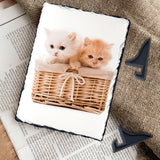 12 Pack Blanks Sublimation Rock Slate Photo Frame Rectangular Heat Transfer Custom Photo Stone Plaque Memorial Gifts Picture Frames for Valentines Wedding Christmas Thanksgiving, 5.9" x 7.9" WHEATHUSK