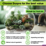 DUSPRO Recycle Terrarium Kit, Include Terrarium Potting Soil, Pumice, Zeolite, Green Moss, Sphagnum Moss, Decorative Stone, Mesh, Tools, DIY Terrarium Starter Kit for Kids, Air Plant, Succulent Duspro