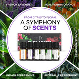 Essential Oils Set by Pure Aroma - Top 6 Aromatherapy Oils Gift Set-6 Pack, 10ml (Eucalyptus, Lavender, Lemongrass, Sweet Orange, Peppermint, Tea Tree) Pure Aroma