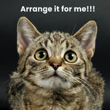 SHA CERLIN 68 Inches Multi-Level Large Cat Tree for Large Kitties/Big Cat Tower with Condo/Cozy Plush ‌Pussycat Perches/Sisal Scratching Posts and Hammocks/Activity Center/Grey SHA CERLIN