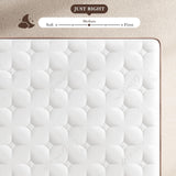 Mattress Queen Size 14 Inch - Firm Hybrid Bed in a Box for Couples & Light Sleepers, 366-Night Trial, Pocket Spring Mattress for Back Pain Relief & Motion Isolation, CertiPUR-US Certified FP FLEXPEDIC