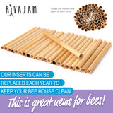 Rivajam Beekeeper Pro Mach II Mason Bee House - Strong + Waterproof Bee Hotel & Insect Habitat - Replaceable Mason Bee Tubes Filled Bee Houses for The Garden - Pollinator House Gardening Gifts Rivajam