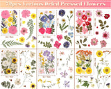 eBoot 72 Pcs Dried Pressed Flowers for Resin Molds Real Pressed Flowers Dry Leaves Bulk Natural Herbs Kit for Scrapbooking DIY Art Crafts Jewelry Molds Candle Soap Making Nails Decor(Fresh Style) EBOOT
