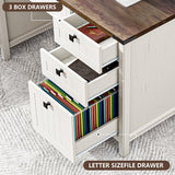 GlowVitaHome Farmhouse Executive Desk 45 inch Wood Computer Desk with 4 Drawers, Smart Charging Station, Home Office & Study Room Essential for Remote Workers, Professionals & Students.Antique White GlowVitaHome