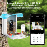 T TICCI Smart Bird Feeder with Camera Solar Powered, AI Identify Bird Species Camera Bird Feeders for Outside, Instant Notifications Bird House with Camera, IP65 Weatherproof Bird Watching Gifts T TICCI