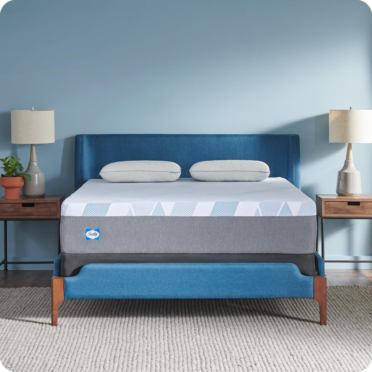 Sealy Dreamlife 12” Hybrid Mattress-in-a-Box, King, SealyComfort Gel Memory Foam, SealyResponsive Encased Coils, Surface-Guard Technology Sealy