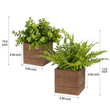 Vlorart Small Fake Plants, 2Pack Mini Potted Artificial Plastic Boxwood Fern Green Decorative Plant in Wooden Potted, Fake Desk Plant for Farmhouse Home Decor Office Bathroom Desk Room Indoor Outdoor Vlorart
