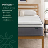 ZINUS 12 Inch True Support Hybrid Mattress [New Version], Full, Fiberglass Free, Medium Feel, Motion Isolation, Certified Safe Foams & Fabric, Mattress in A Box ZINUS